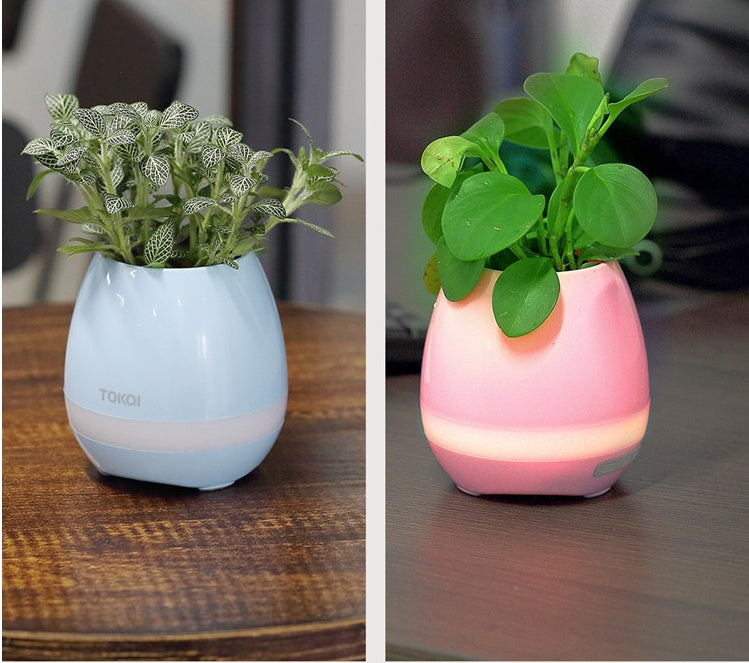 Touch-sensitive music vase desktop audio from elexor store